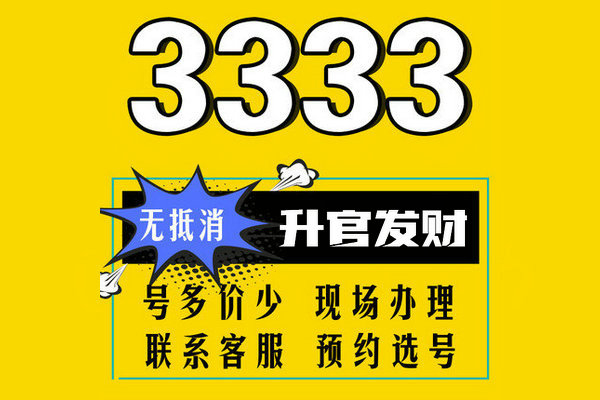 东明尾号333吉祥号